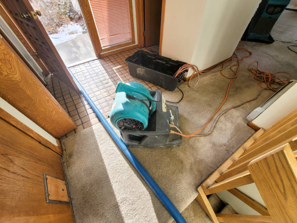 Best Water damage mitigation services  in Gresham Park, GA