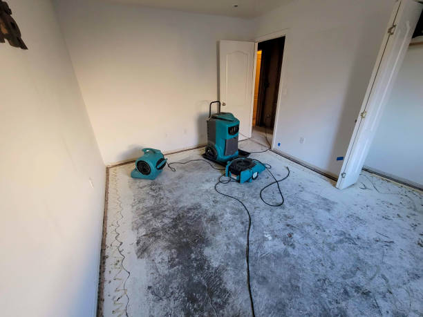 Best Basement water damage restoration  in Gresham Park, GA