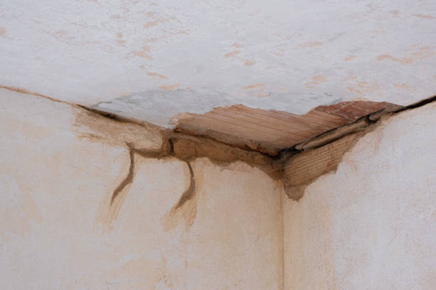 Best Flood damage cleanup  in Gresham Park, GA