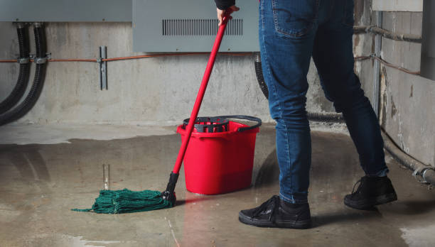 Best Water damage restoration specialists  in Gresham Park, GA