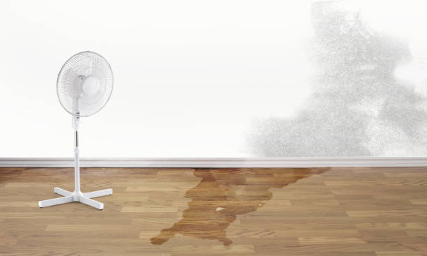 Water damage restoration insurance claims in Gresham Park, GA