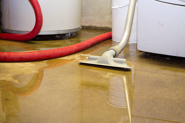 Best Sewage cleanup and water damage restoration  in Gresham Park, GA
