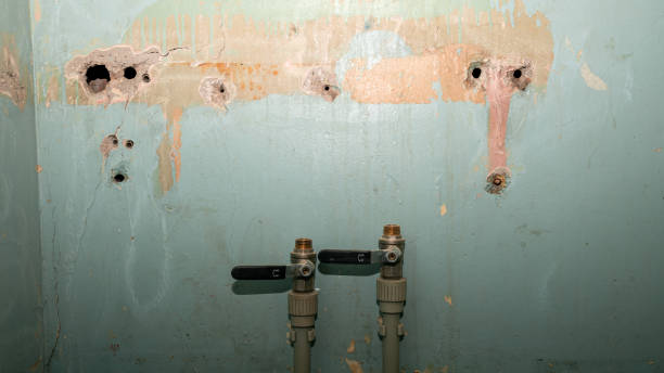 Best Professional water damage repair  in Gresham Park, GA