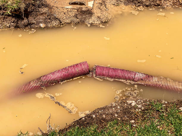 Best Carpet water damage restoration  in Gresham Park, GA